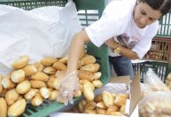 Pãozinho francês tem reajuste com disparada do preço do trigo