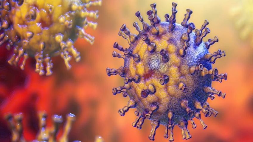 Qual é a causa da herpes-zóster? / Imagem: Shutterstock/Kateryna Kon