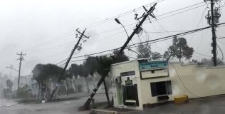 Postes caídos em Matlacha, Flórida, antes da chegada do furacão Milton