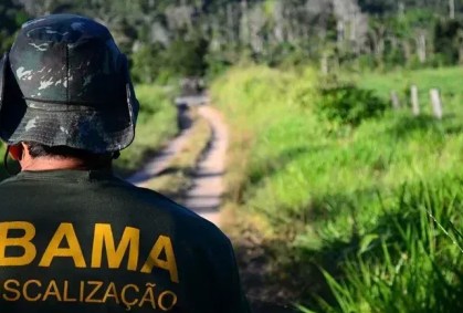 Funcionário do Ibama com camisa da autarquia, fazendo vistoria em região de mata