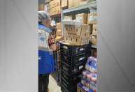 Baratas no feijão e larvas: fiscais apreendem 290 kg de alimentos no RJ