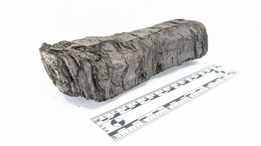 O PHerc. 172 foi queimado há quase 2.000 anos, quando o Monte Vesúvio entrou em erupção em 79 d.C. • Vesuvius Challenge via CNN Newsource