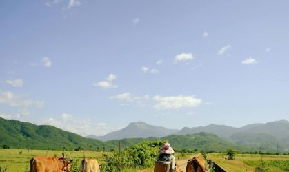 materia com imagem vazia